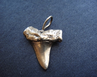 solid bronze shark tooth, shark tooth, bronze