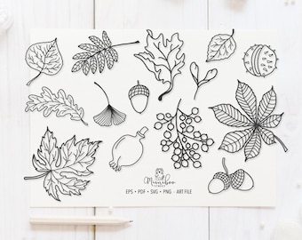 Foglie d'autunno - File CUT - Art Plotter File - Paper cut - pdf svg png eps - Silhouette Cameo - Cricut Maker - Card making - Minimal ART