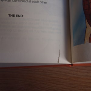 May include: A close-up of a book with a torn page. The text "THE END" is visible on the page.