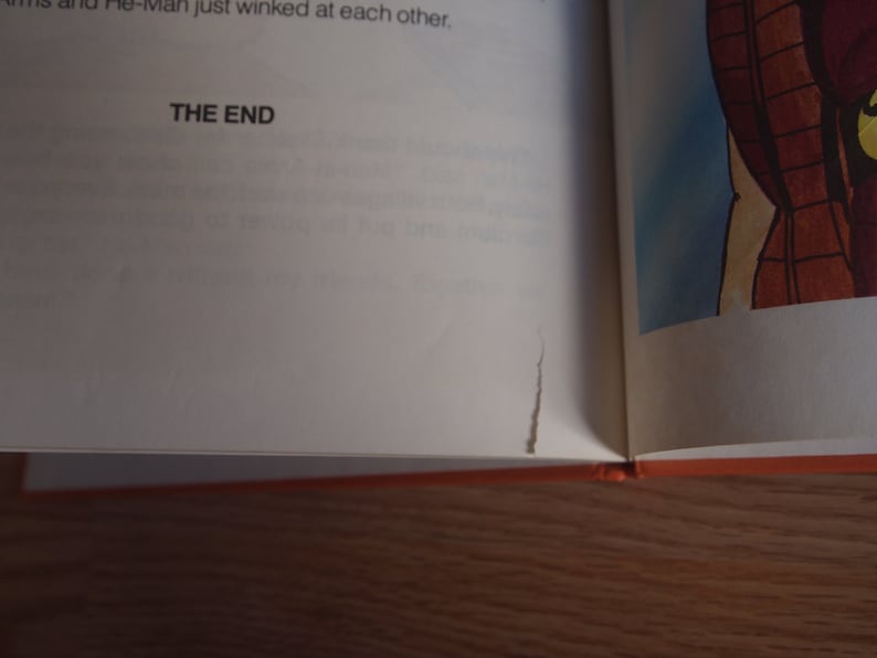 May include: A close-up of a book with a torn page. The text "THE END" is visible on the page.