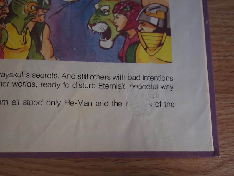 May include: A book cover featuring a cartoon illustration of characters. The text on the cover reads "rayskull's secrets. And still others with bad intentions from other worlds, ready to disturb Eternia's peaceful way. Them all stood only He-Man and the Masters of the"