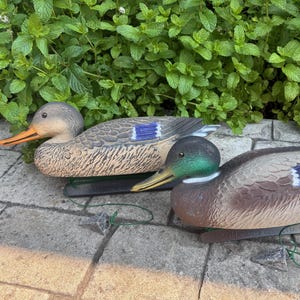 May include: Two plastic duck decoys. One is primarily brown and grey with a blue accent on the wing. The other is brown, grey, and green. Both have orange beaks and are resting on a stone surface with green foliage in the background.