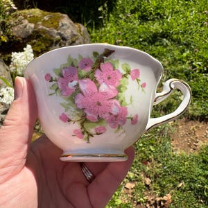 Vintage Royal Schnürsenkel Englisch Bone China "Peach Blossom" Teetasse & Untertasse mit rosa Blumen (Made in England) Bild 6