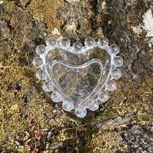 May include: A clear glass heart-shaped dish with a beaded edge. The dish is transparent, allowing the viewer to see through it. The dish is resting on a bed of moss and bark.