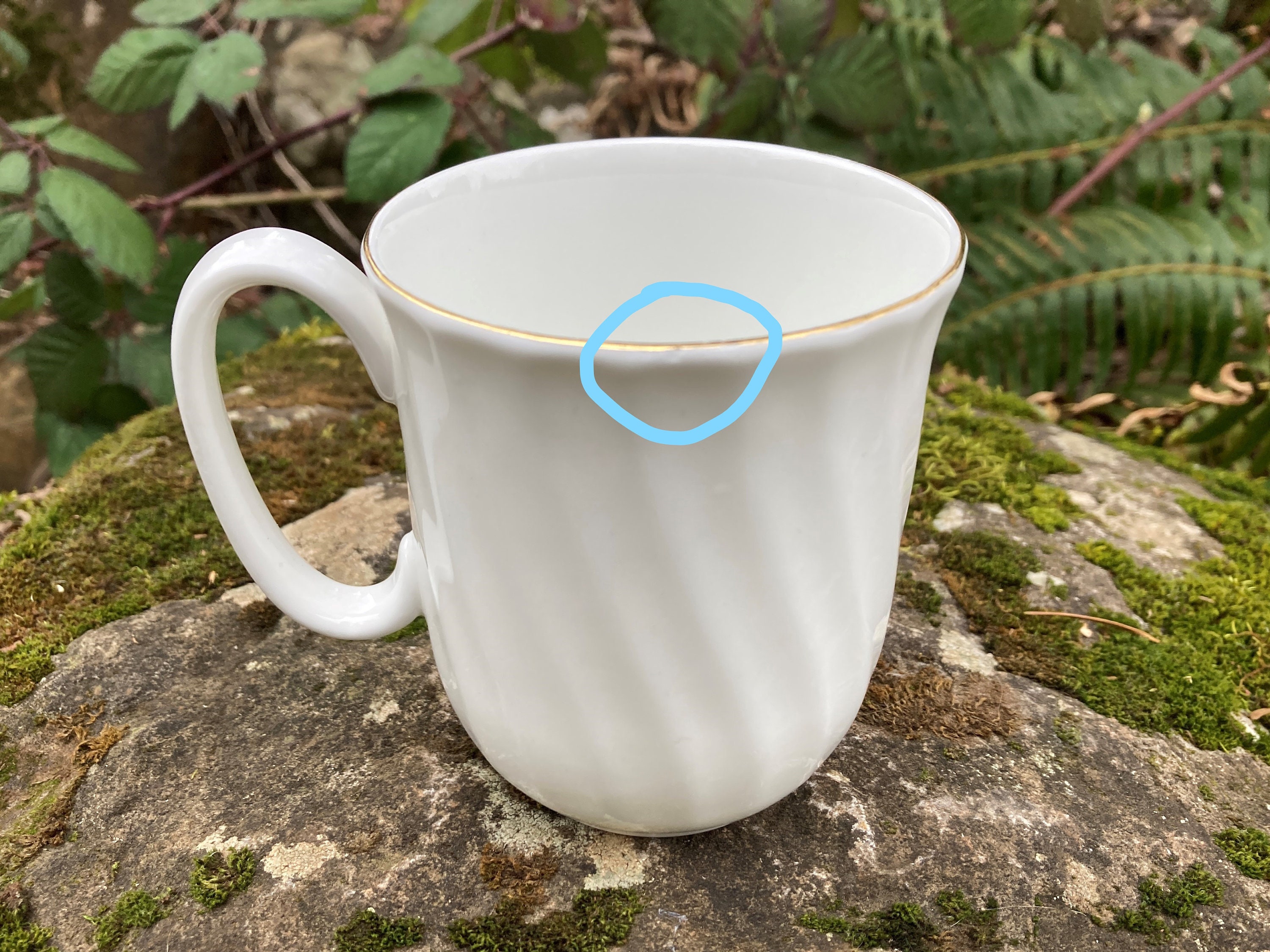 Tasse à Café Duchesse En Porcelaine Fine – Motif Oiseaux Et Punaises (multicolore)