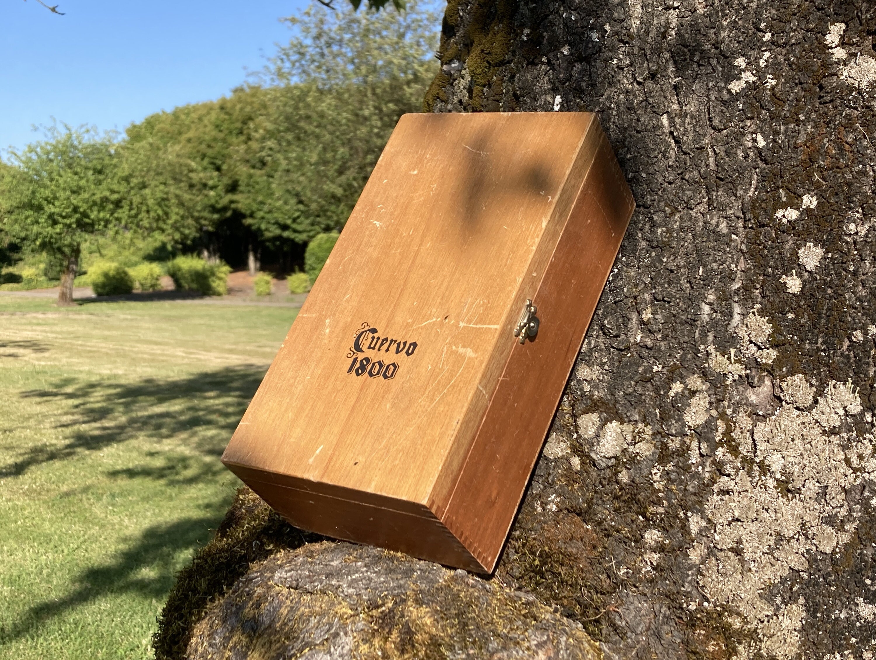 ヴィンテージ Jose Cuervo 1800 木製ヒンジ付きテキーラ