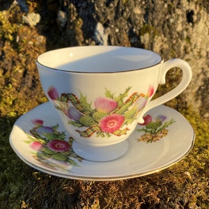 Vintage Royal York Teacup and Saucer w/ Scottish Thistle & Tartan Pattern #3179 (Bone China, made in England)
