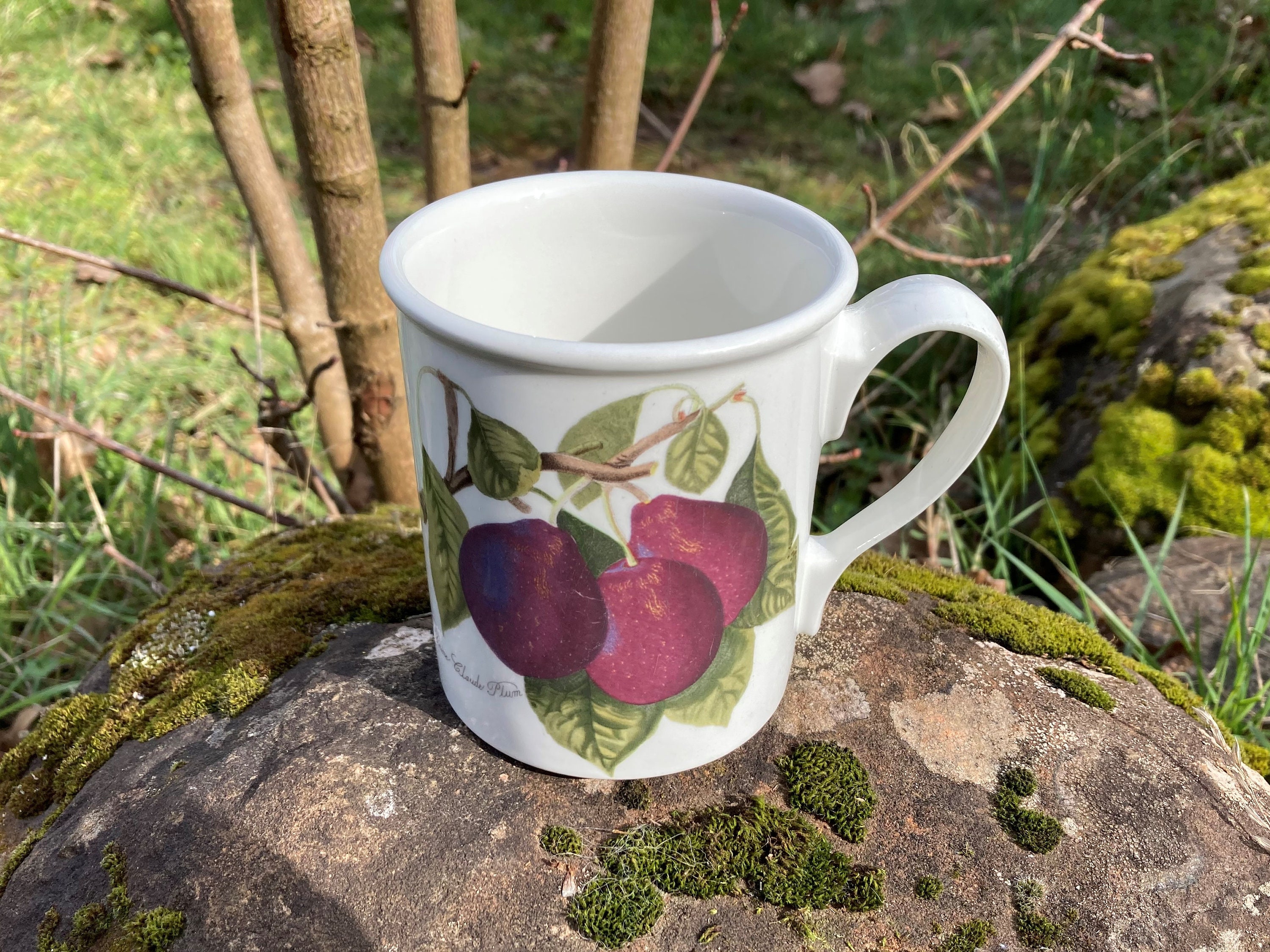 Vintage Portmeirion Pomona Coffee Cup / Mug the Reine - Etsy Canada
