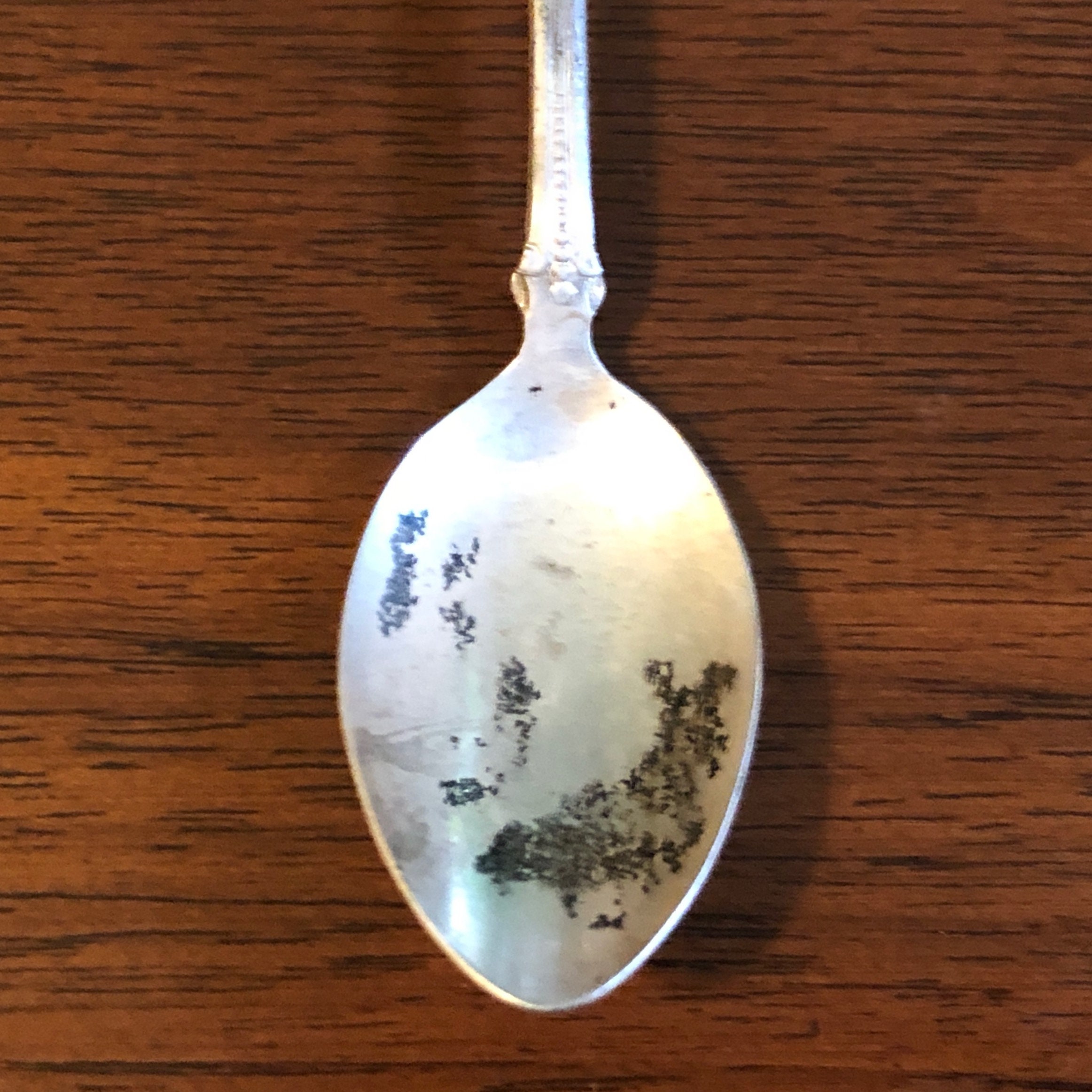 【む63】アラスカ州　記念スプーン Collectibles | Alaska Railroad Gift Shop