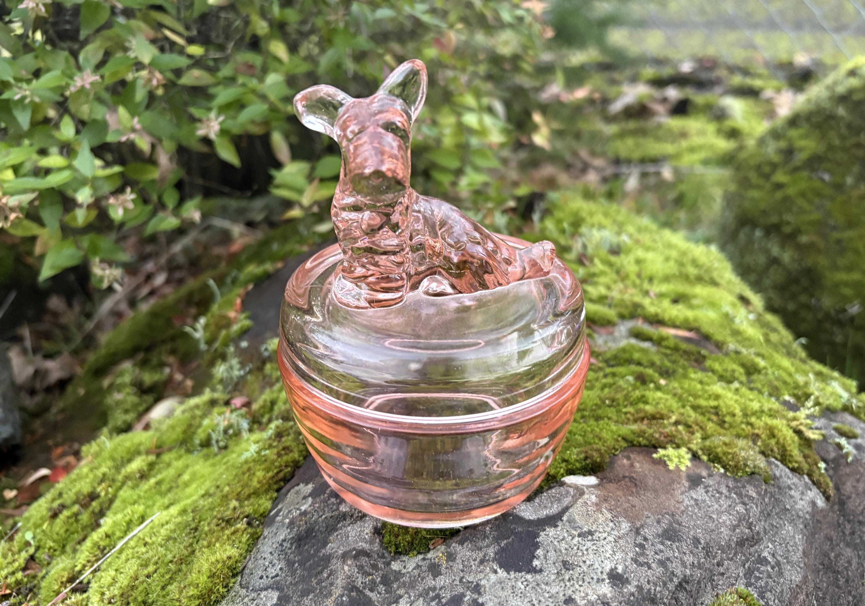 Vintage Jeanette Glass Pink Scottie Dog Powder Jar / Lidded