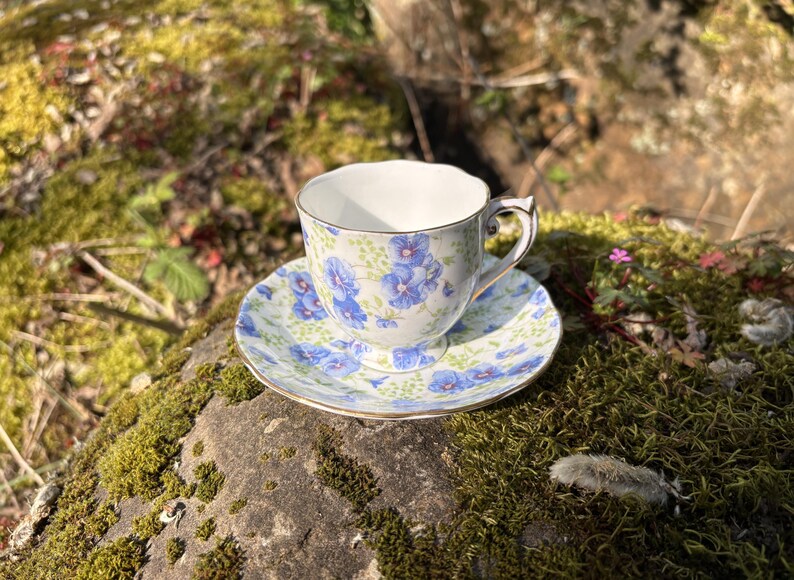 May include: A vintage teacup and saucer set with a floral pattern in blue and white. The teacup and saucer have gold trim. The set is placed on a moss-covered rock in natural sunlight.