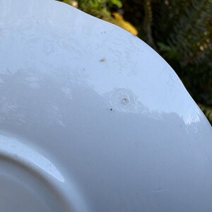 May include: A white, slightly curved plate with a glossy finish. The plate has a subtle, raised edge and a few small imperfections. The background is blurred, with green foliage visible.