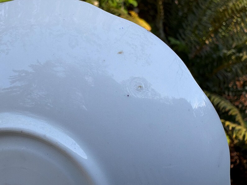 May include: A white, slightly curved plate with a glossy finish. The plate has a subtle, raised edge and a few small imperfections. The background is blurred, with green foliage visible.
