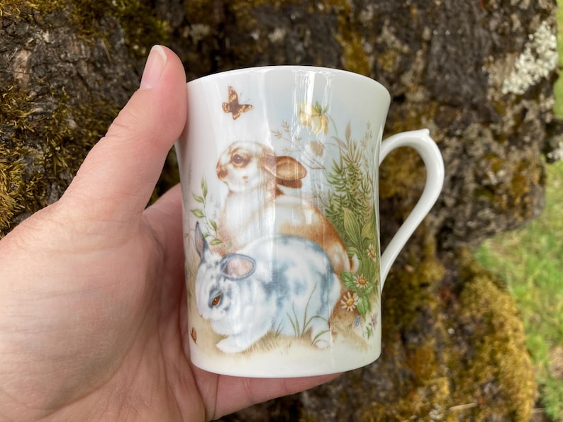 Vintage Bunny Rabbit Set: Queen's Rosina Fine Bone China Tea Mug ...