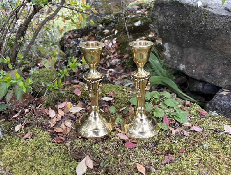 May include: Two brass candlesticks with a detailed design, set outdoors on moss and fallen leaves. The candlesticks have a flared base, a central decorative element, and a cup-shaped top for holding candles. The background features greenery and a large rock.