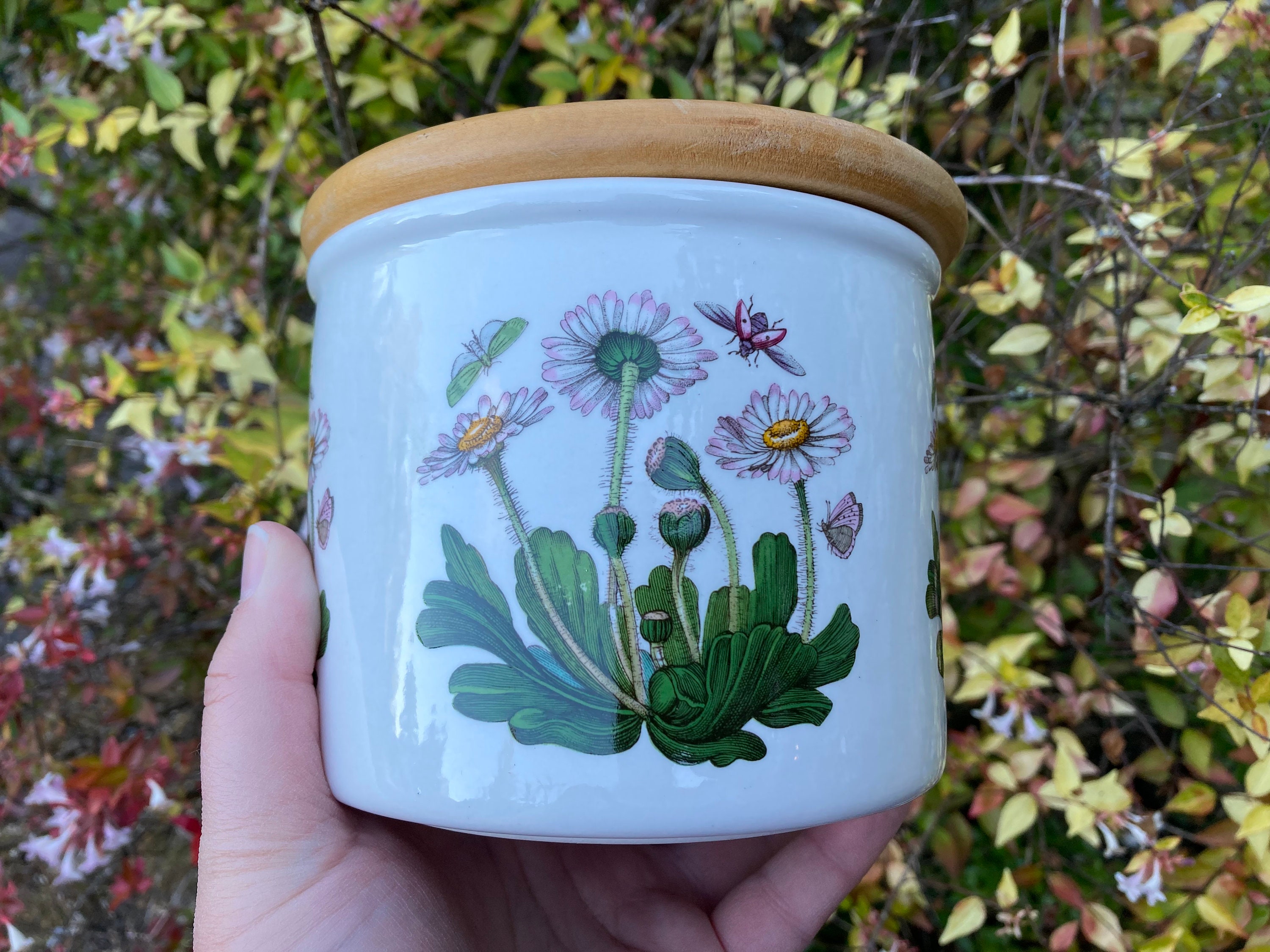 Vintage Portmeirion Botanik Garten 5 Kanister mit | Etsy