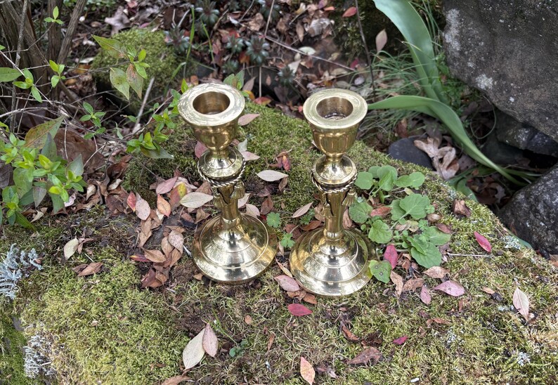 May include: Two brass candlesticks with a classic design. Each candlestick has a round base, a decorative stem, and a cup-shaped top to hold a candle. The candlesticks are displayed on a bed of moss and fallen leaves.