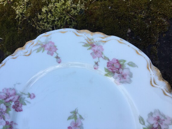 Vintage Limoges 8.5