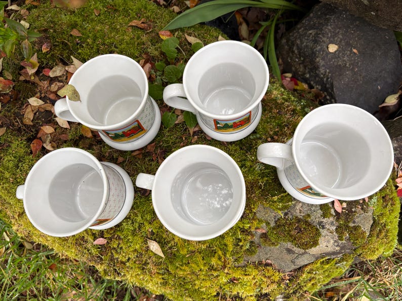 May include: A collection of six white ceramic mugs with a handle. Each mug has a decorative band with a colorful image. The mugs are arranged on a mossy surface with leaves and greenery in the background.