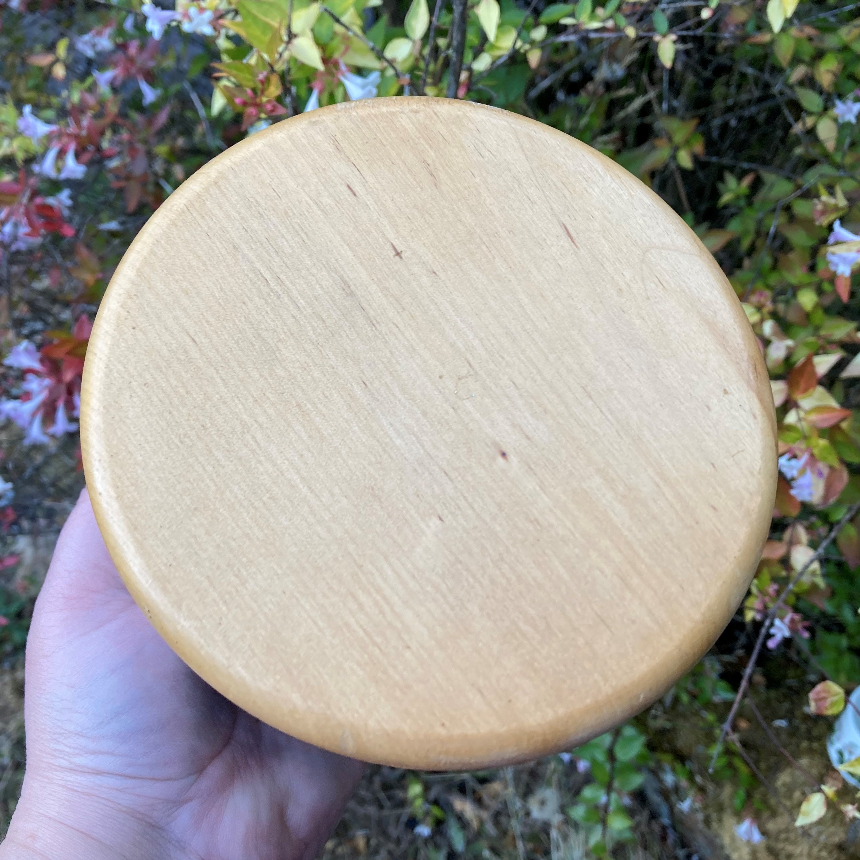 Vintage Portmeirion Botanik Garten 5 Kanister mit | Etsy