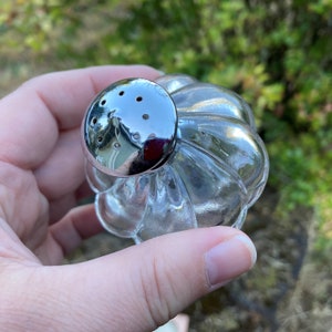 May include: A clear glass salt shaker with a silver top and a fluted design. The shaker is shaped like a scallop shell.
