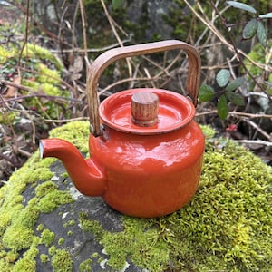 May include: A small, orange teapot with a wooden handle and lid knob. The teapot is set on a moss-covered rock, surrounded by greenery. The teapot's spout is white-tipped.