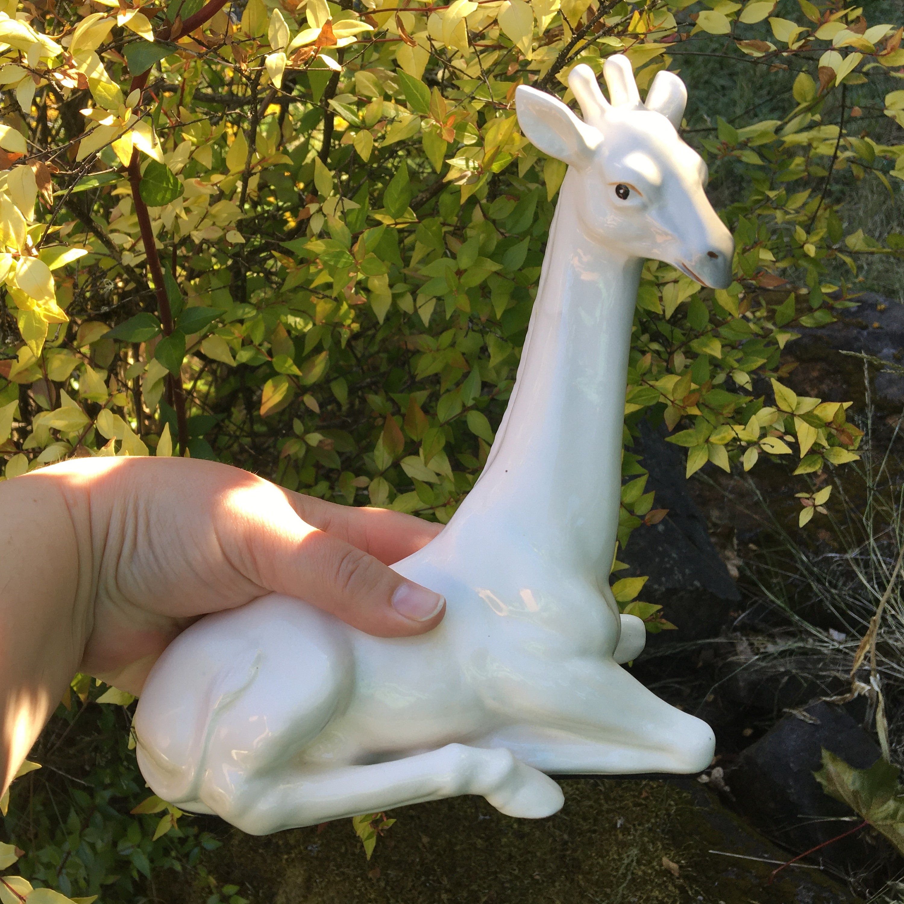 水差し ヴィンテージ品 / フィッツアンドフロイド Fitz and Floyd