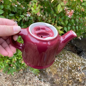 Puede incluir: Una pequeña tetera de cerámica burdeos con borde y tapa blancos. La tetera tiene un asa y un pico, sostenida por una mano sobre un fondo de follaje verde y una superficie de piedra.