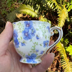 May include: A small, white teacup with a floral pattern of blue flowers and green leaves. The cup has a gold-trimmed handle and rim. The teacup is held in a hand against a backdrop of green foliage.