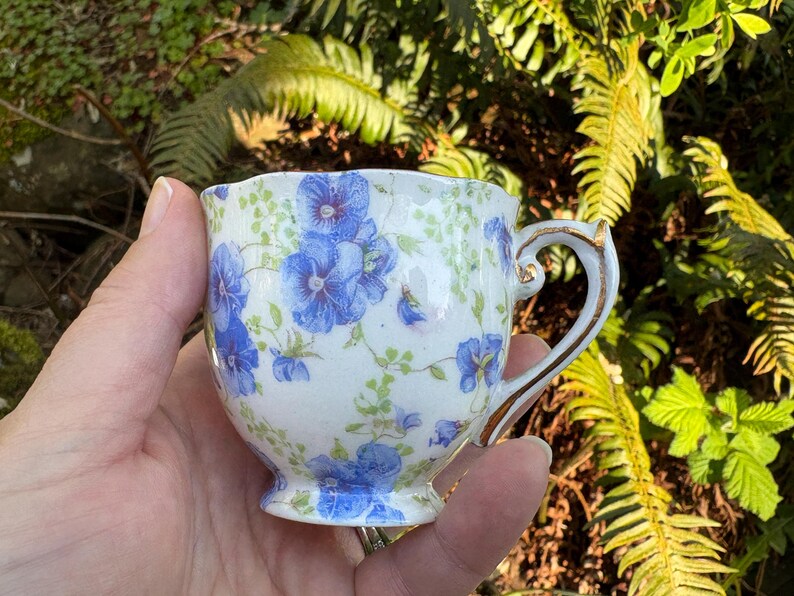 May include: A small, white teacup with a floral pattern of blue flowers and green leaves. The cup has a gold-trimmed handle and rim. The teacup is held in a hand against a backdrop of green foliage.