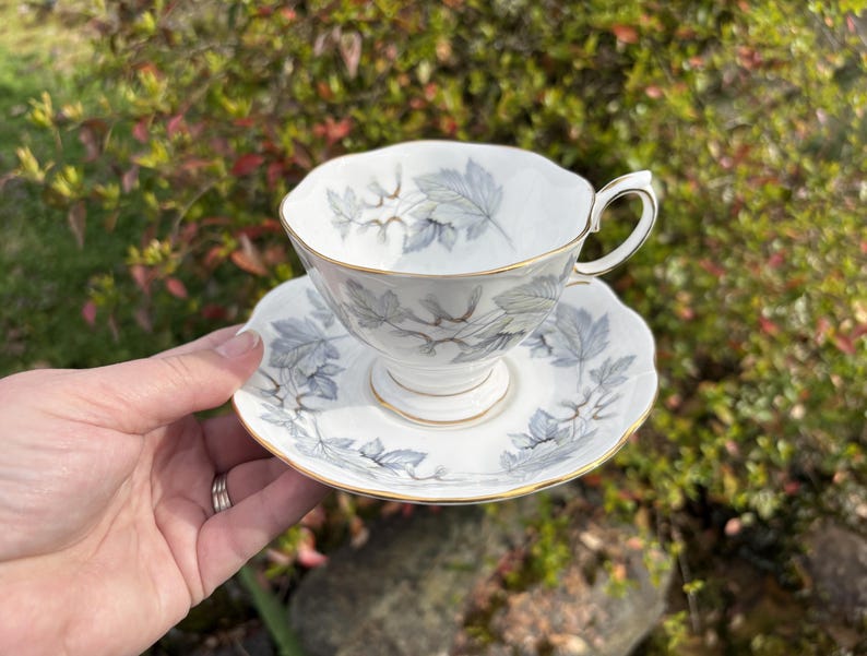 May include: White teacup and saucer set with a gray leaf pattern and gold trim. The teacup has a curved handle and sits on a matching saucer. The set is held in front of a blurred green and red background.