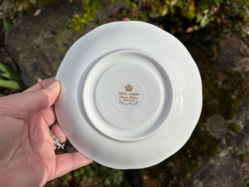 May include: A white Royal Albert saucer with a scalloped edge. The underside features a gold emblem with text that reads "Royal Albert, Bone China, England, Silver Maple."