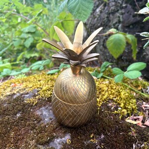 May include: A brass pineapple-shaped container with a removable lid. The body features a cross-hatched diamond pattern, and the top is adorned with pointed, upright leaves. The metallic surface has a warm, aged golden tone with visible texture.