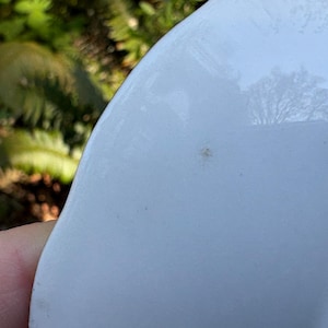 May include: Close-up of a white ceramic bowl with a slightly curved rim. The bowl has a smooth, glossy surface with a few small imperfections. The background is blurred, showing green foliage.