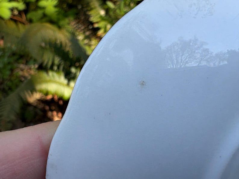 May include: Close-up of a white ceramic bowl with a slightly curved rim. The bowl has a smooth, glossy surface with a few small imperfections. The background is blurred, showing green foliage.