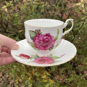Puede incluir: Una taza de té y un platillo blancos con un diseño floral rosa. La taza tiene un borde dorado y un asa delicada. El platillo tiene un borde festoneado.