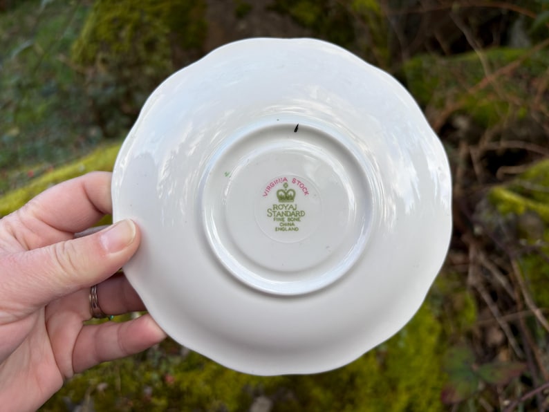 May include: A white ceramic saucer with a scalloped edge. The underside features a central circular design with the text "VIRGINIA STOCK" and "ROYAL STANDARD FINE BONE CHINA ENGLAND". The saucer is held by a hand.