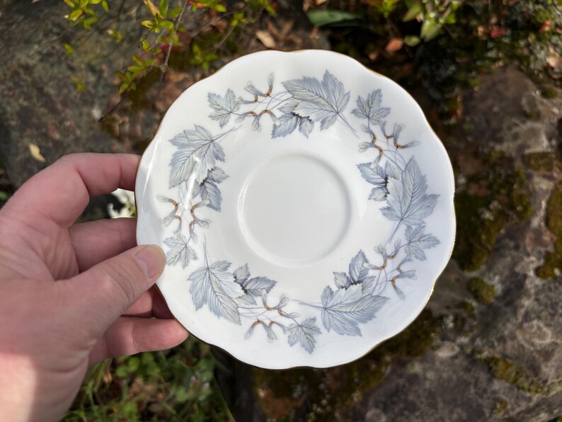Vintage Royal Albert "Silver Maple" Bone China Teacup & Saucer w/ Leaf Pattern (Made in England) image 8
