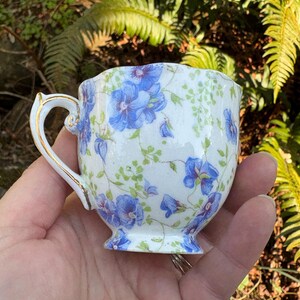 May include: A white teacup with a blue floral pattern and gold trim on the handle. The cup has a scalloped rim and a small footed base. The teacup is held in a hand against a background of green foliage.
