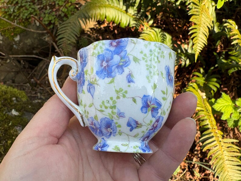 May include: A white teacup with a blue floral pattern and gold trim on the handle. The cup has a scalloped rim and a small footed base. The teacup is held in a hand against a background of green foliage.