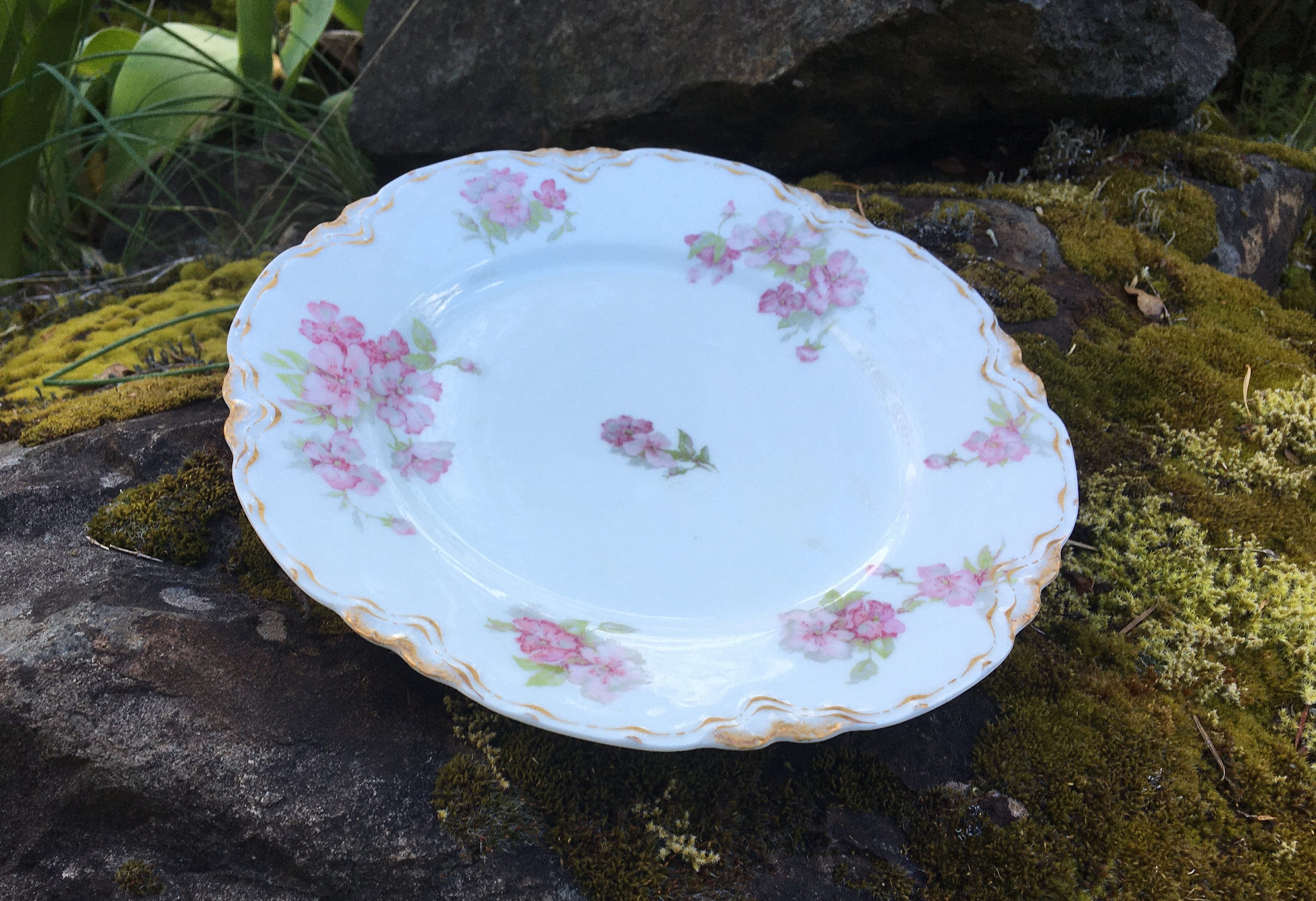 【10％OFF】 Vintage Limoges 8.5 アビランド