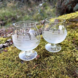 May include: Two clear glass brandy snifters with etched sailboat designs. The glasses have a rounded bowl and a short stem. They are sitting on a bed of green moss, with a blurred natural background.