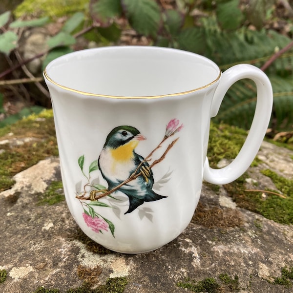 Vintage Duchess Bone China Coffee Cup / Tea Mug w/ Bird on Branch (Made in England)