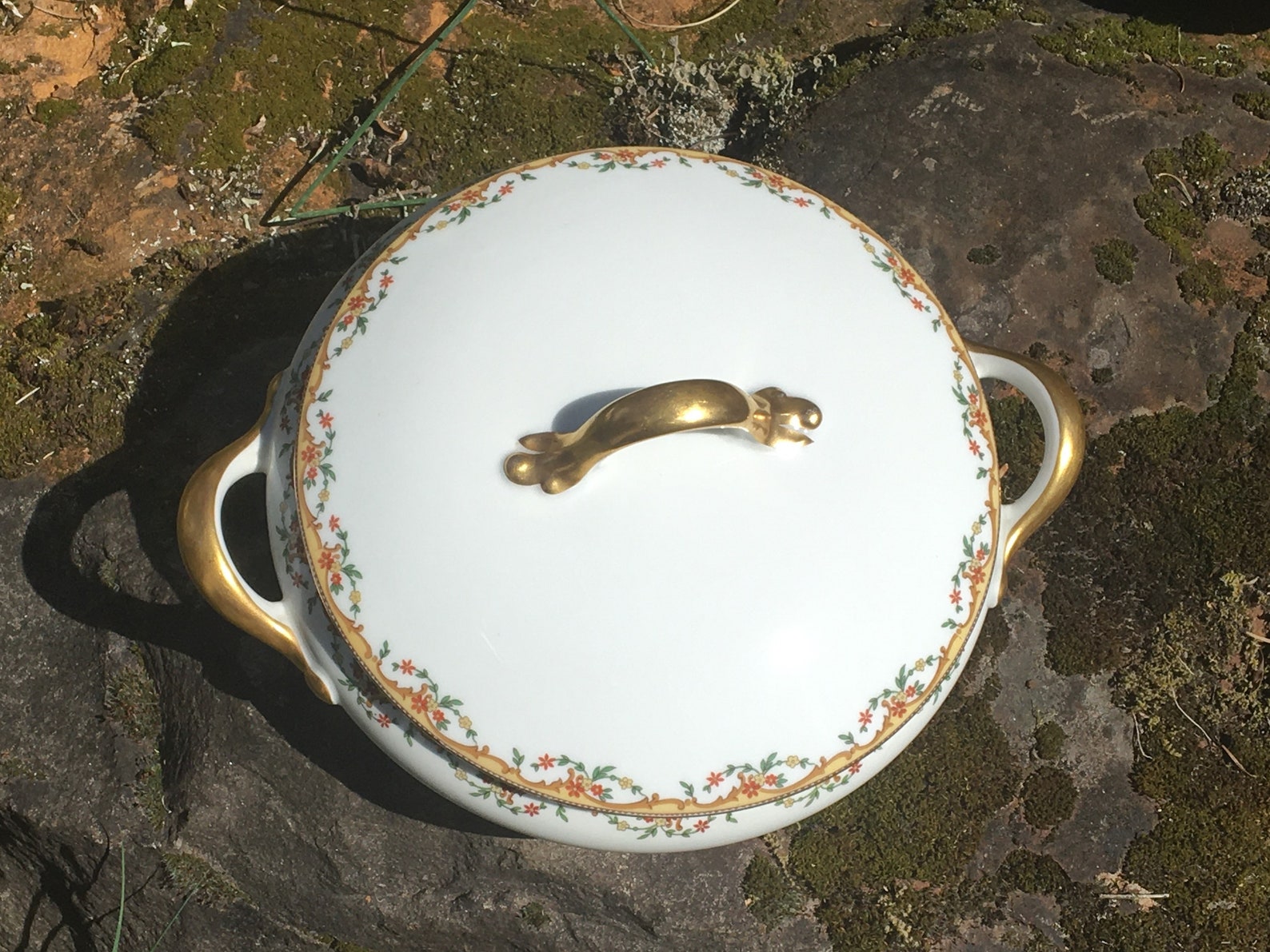 Vintage Limoges France VIGNAUD The Meuse Covered Etsy Canada