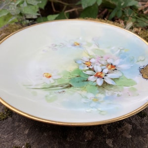 Vintage J&C Bavaria Hand-Painted 7.5&quot; Plate w/ Daisy Flowers and Gold Trim