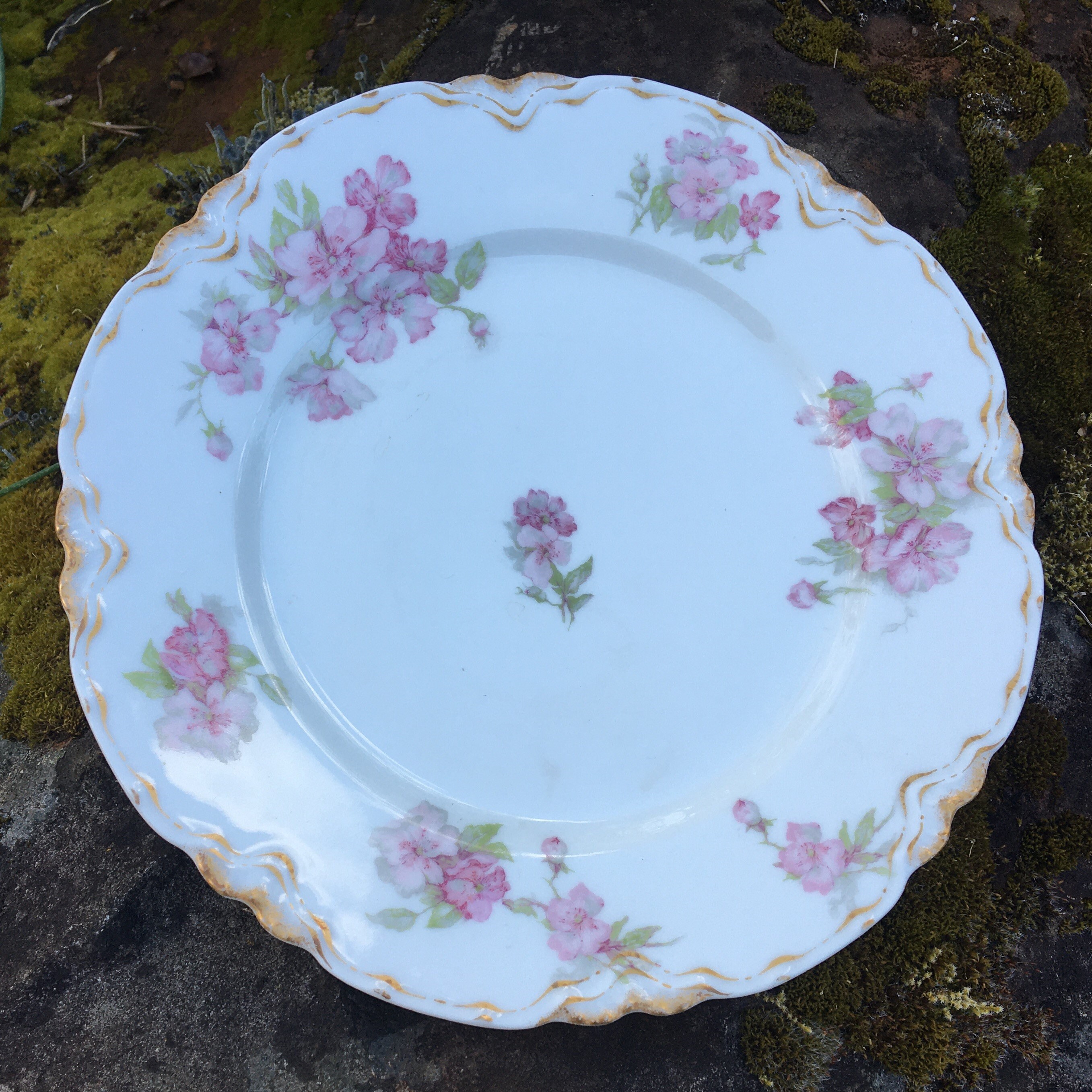 大特価放出！ Vintage Limoges 8.5 アビランド