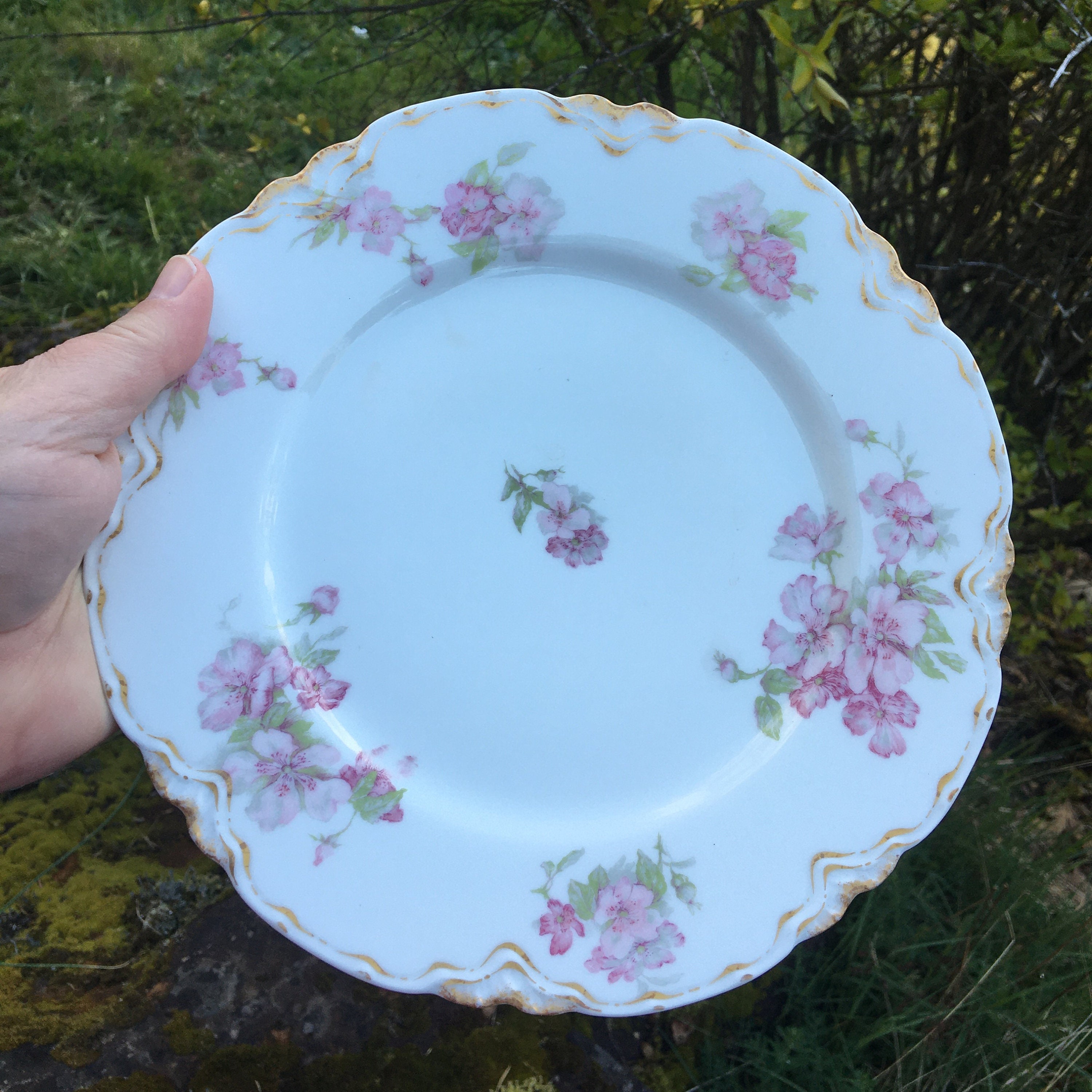 Vintage Limoges 8.5