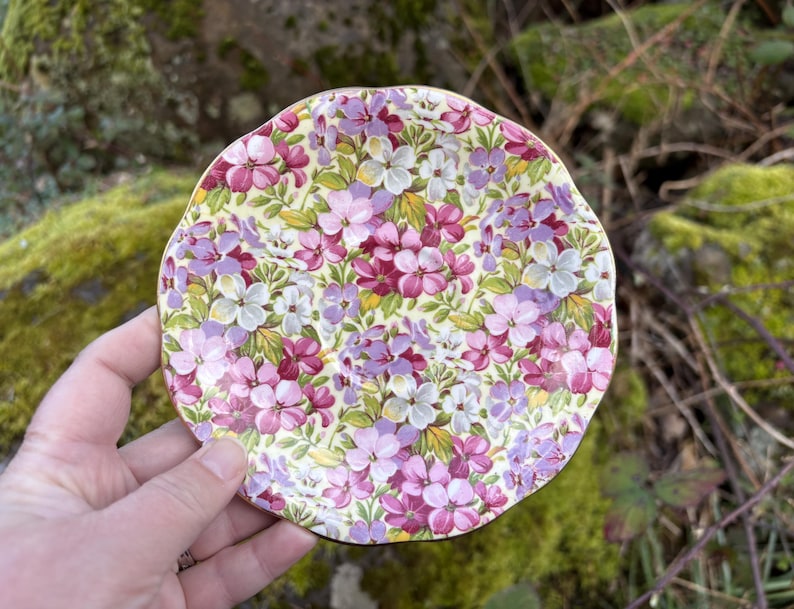 May include: A small, round plate with a floral pattern. The plate features a cream-colored background covered in pink, purple, and white flowers with green leaves. The plate is held in a hand, with a natural, mossy background.