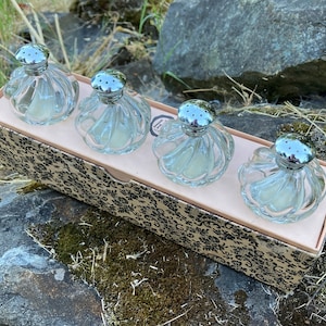 May include: Set of four clear glass salt shakers with silver tops in a decorative box. The shakers have a fluted design and are arranged in a row.