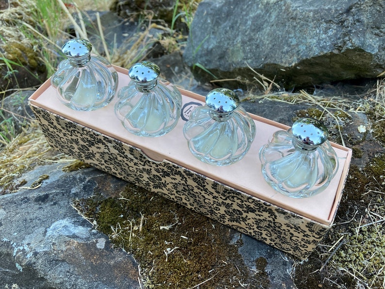 May include: Set of four clear glass salt shakers with silver tops in a decorative box. The shakers have a fluted design and are arranged in a row.